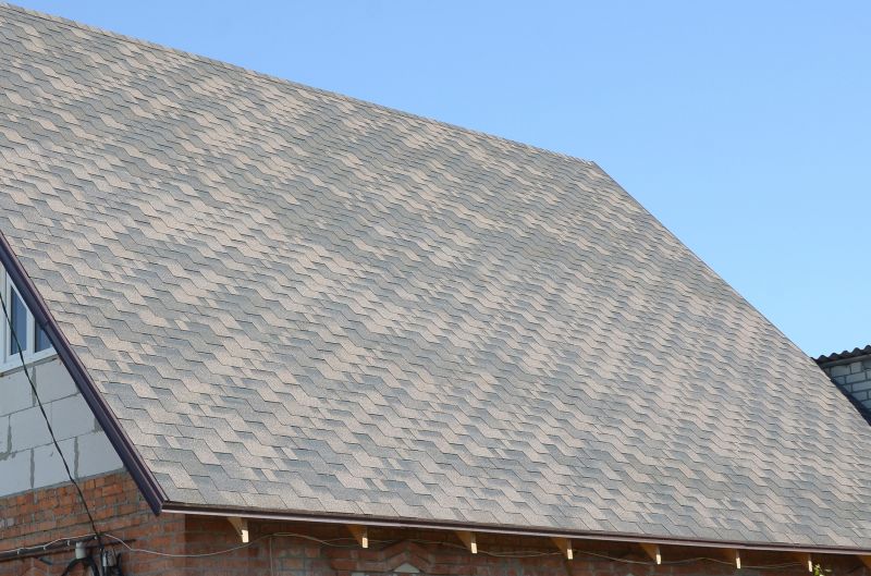 Slate Roofing Service in Alexandria, VA