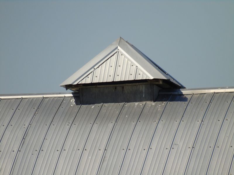 Tin Roof Installation in Alexandria, VA