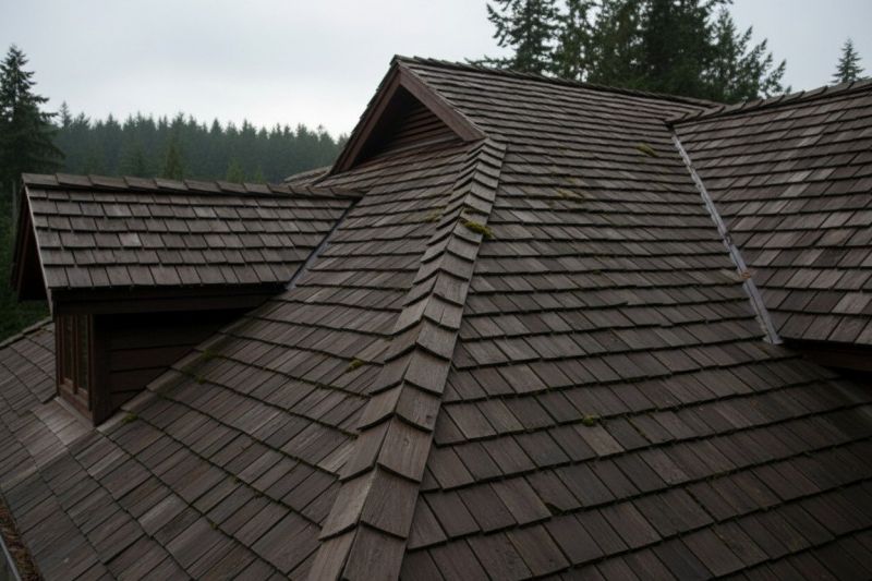 Wood Shake Roof Replacement in Alexandria, VA